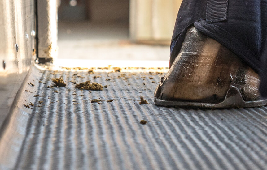 Paardenhoeven op een aluminium vloer in een Humbaur paardentrailer | © Humbaur GmbH