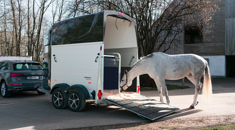 A horse running into the Equitos Alu
