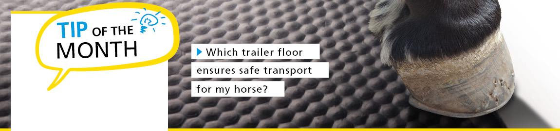 Which trailer floor ensures safe transport for my horse?